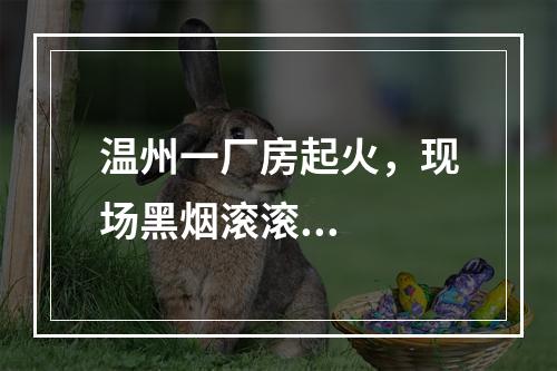 温州一厂房起火，现场黑烟滚滚...