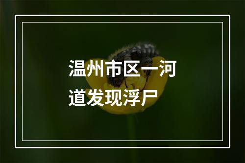 温州市区一河道发现浮尸