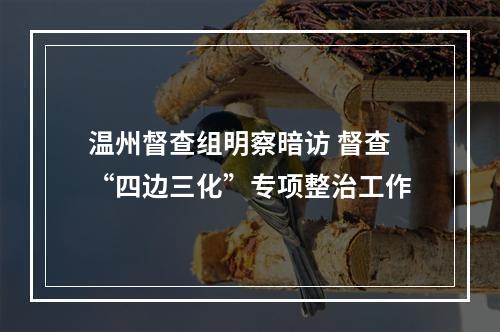 温州督查组明察暗访 督查“四边三化”专项整治工作