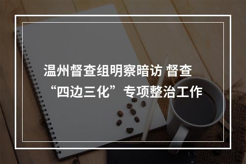 温州督查组明察暗访 督查“四边三化”专项整治工作