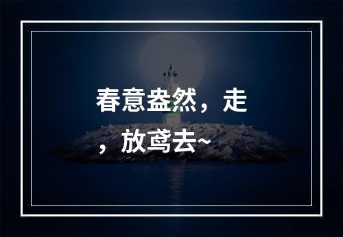 春意盎然，走，放鸢去~