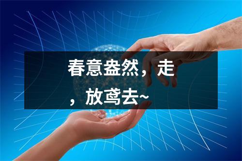 春意盎然，走，放鸢去~