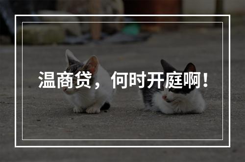 温商贷，何时开庭啊！
