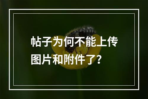 帖子为何不能上传图片和附件了？