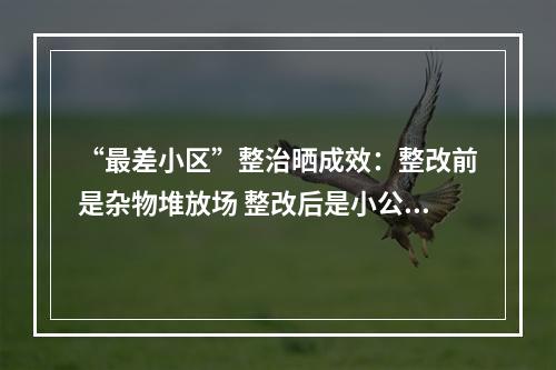 “最差小区”整治晒成效：整改前是杂物堆放场 整改后是小公园