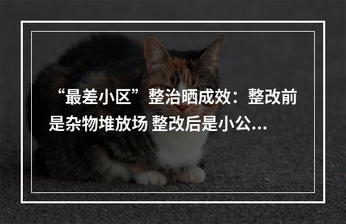 “最差小区”整治晒成效：整改前是杂物堆放场 整改后是小公园