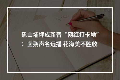 矾山埔坪成新晋“网红打卡地”：卤鹅声名远播 花海美不胜收