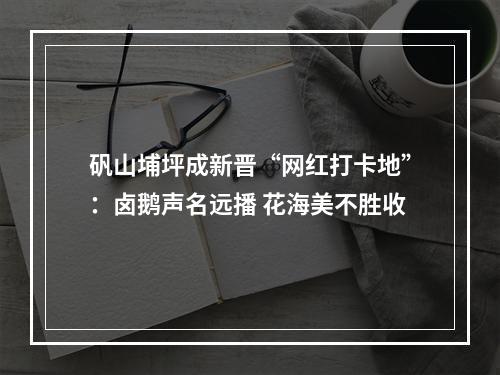 矾山埔坪成新晋“网红打卡地”：卤鹅声名远播 花海美不胜收