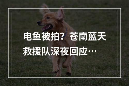 电鱼被拍？苍南蓝天救援队深夜回应…
