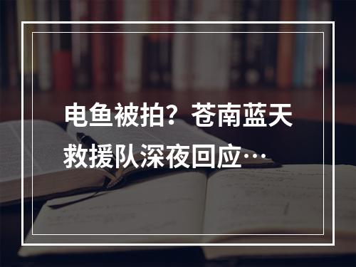 电鱼被拍？苍南蓝天救援队深夜回应…