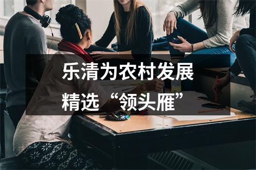 乐清为农村发展精选“领头雁”