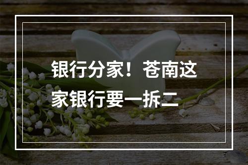 银行分家！苍南这家银行要一拆二