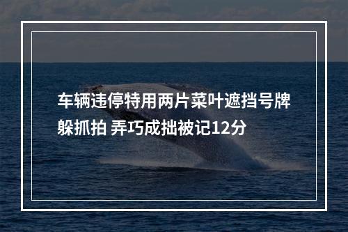 车辆违停特用两片菜叶遮挡号牌躲抓拍 弄巧成拙被记12分