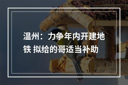 温州：力争年内开建地铁 拟给的哥适当补助