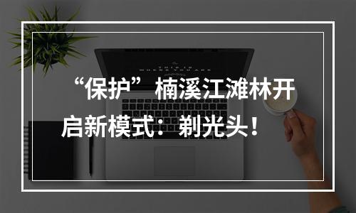 “保护”楠溪江滩林开启新模式：剃光头！