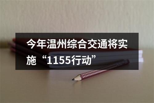 今年温州综合交通将实施“1155行动”