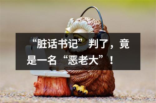 “脏话书记”判了，竟是一名“恶老大”！
