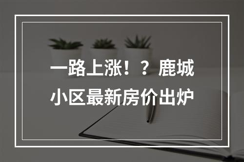 一路上涨！？鹿城小区最新房价出炉