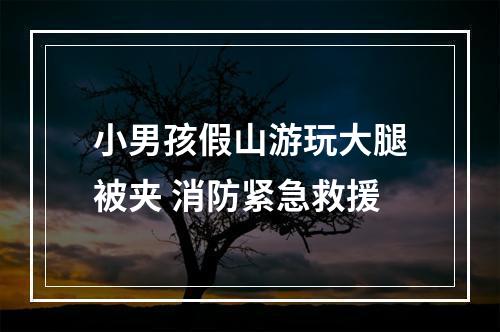 小男孩假山游玩大腿被夹 消防紧急救援