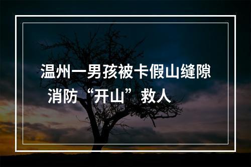 温州一男孩被卡假山缝隙  消防“开山”救人