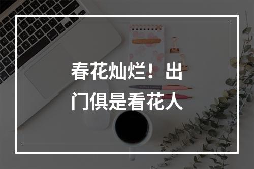 春花灿烂！出门俱是看花人