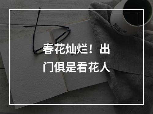 春花灿烂！出门俱是看花人