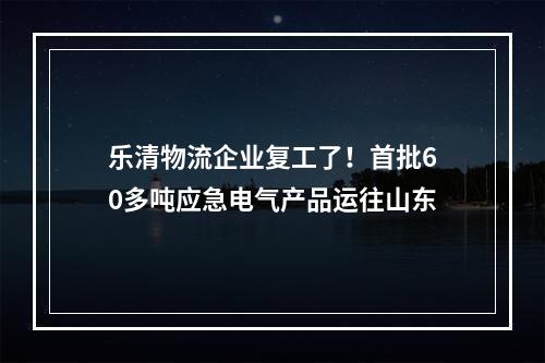 乐清物流企业复工了！首批60多吨应急电气产品运往山东
