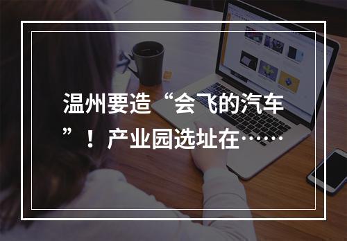 温州要造“会飞的汽车”！产业园选址在……