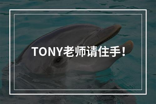 TONY老师请住手！
