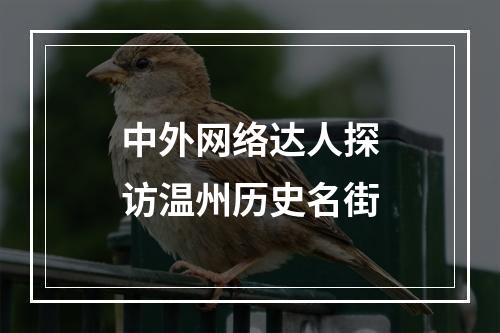 中外网络达人探访温州历史名街