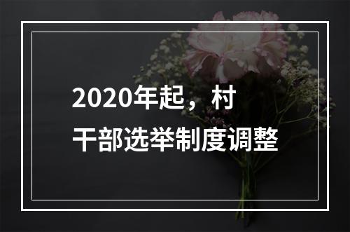 2020年起，村干部选举制度调整