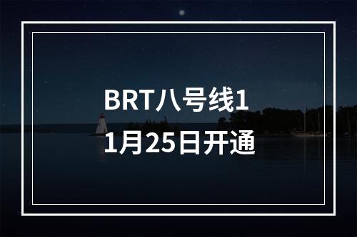 BRT八号线11月25日开通