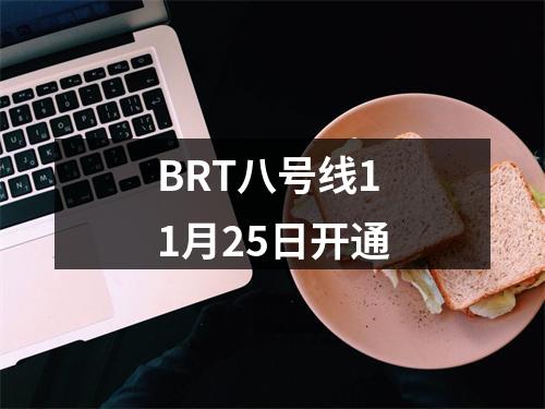 BRT八号线11月25日开通
