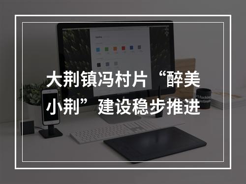 大荆镇冯村片“醉美小荆”建设稳步推进