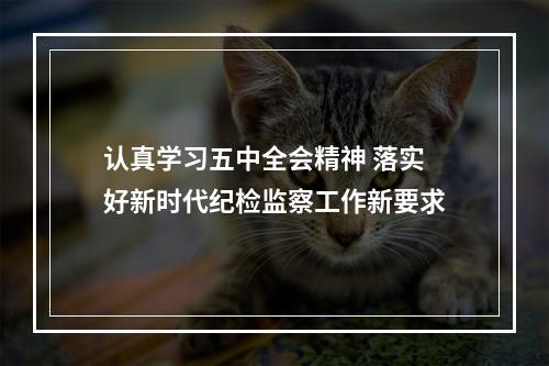 认真学习五中全会精神 落实好新时代纪检监察工作新要求