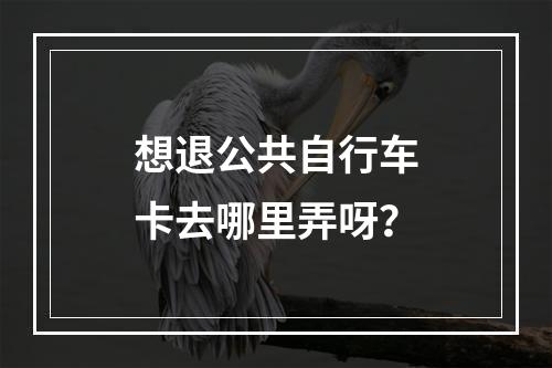 想退公共自行车卡去哪里弄呀？
