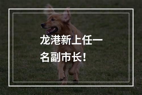 龙港新上任一名副市长！