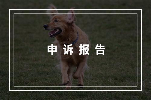 申  诉  报  告