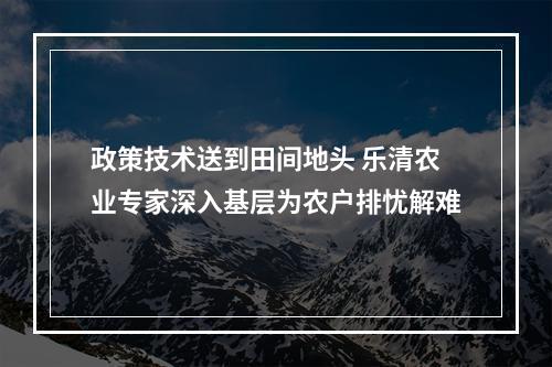 政策技术送到田间地头 乐清农业专家深入基层为农户排忧解难