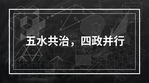 五水共治，四政并行