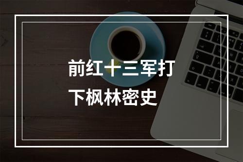 前红十三军打下枫林密史