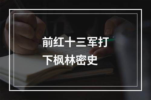 前红十三军打下枫林密史