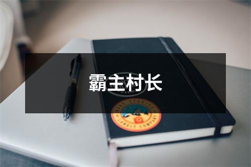 霸主村长