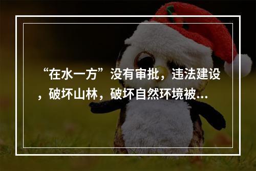 “在水一方”没有审批，违法建设，破坏山林，破坏自然环境被卫星监拍后叫停。这个项目
