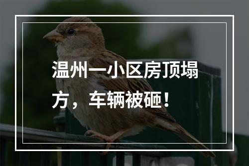 温州一小区房顶塌方，车辆被砸！