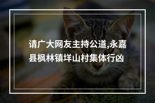 请广大网友主持公道,永嘉县枫林镇垟山村集体行凶