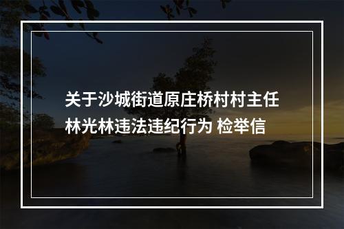 关于沙城街道原庄桥村村主任林光林违法违纪行为 检举信