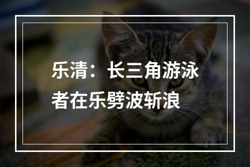 乐清：长三角游泳者在乐劈波斩浪