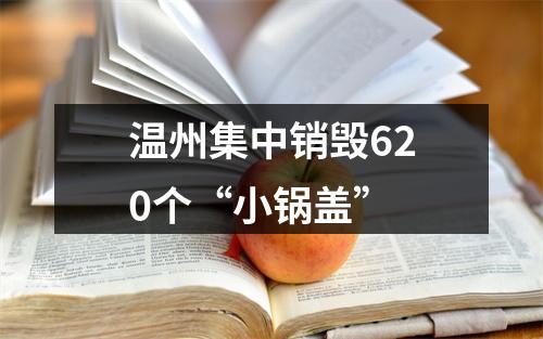 温州集中销毁620个“小锅盖”