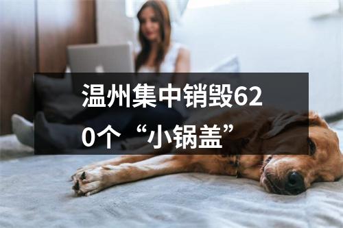 温州集中销毁620个“小锅盖”